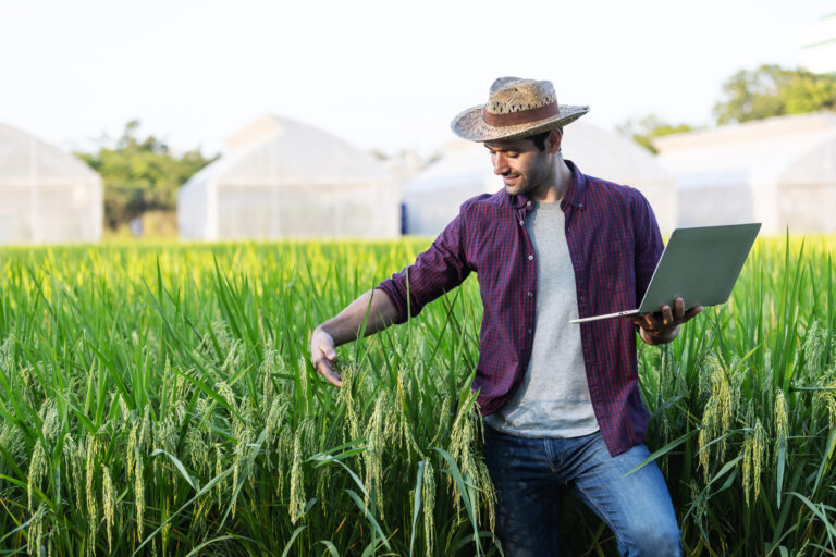 Holding Rural (2) - CESCON GESTÃO CONTÁBIL